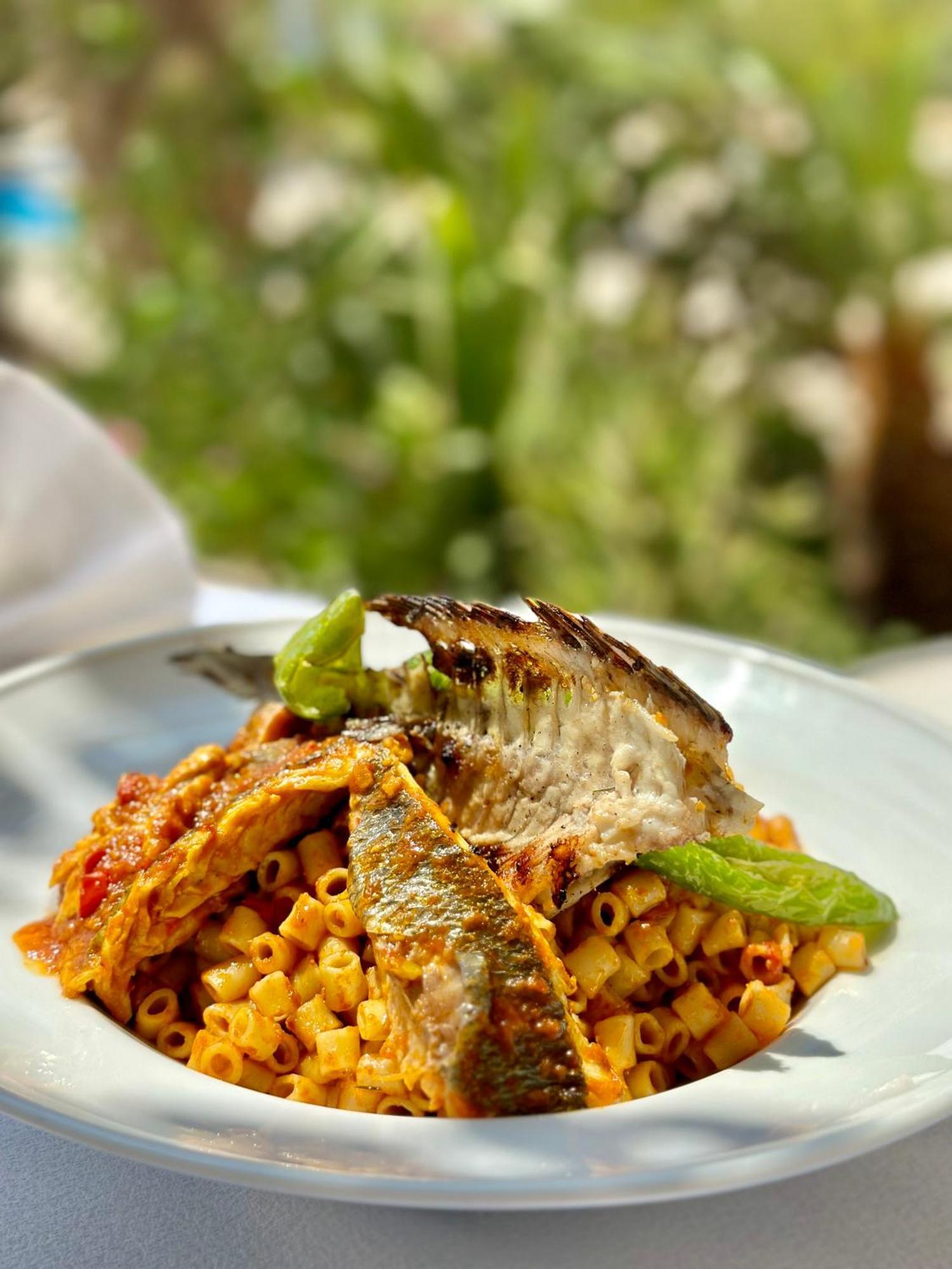 Mezraia Palm Djerba Suites מראה חיצוני תמונה